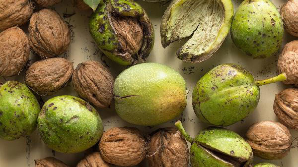 大脑“偏爱”的3种食物，核桃未上榜，人过50后，不妨多吃点