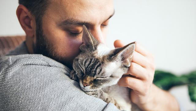 与猫的心灵对话：三大技巧，让你与爱猫情深似海