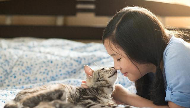 与猫的心灵对话：三大技巧，让你与爱猫情深似海