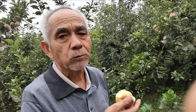 医生劝告：这4种食物吃多了容易堵塞血管，老年人再爱吃也要控制