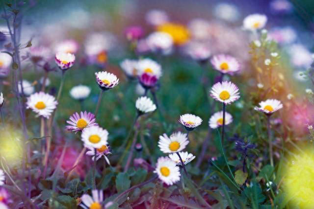 女人喜欢一个人，这些表现，很容易看出来！