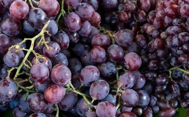 葡萄甜到心头，4类人却得悠着点，你中招了吗？