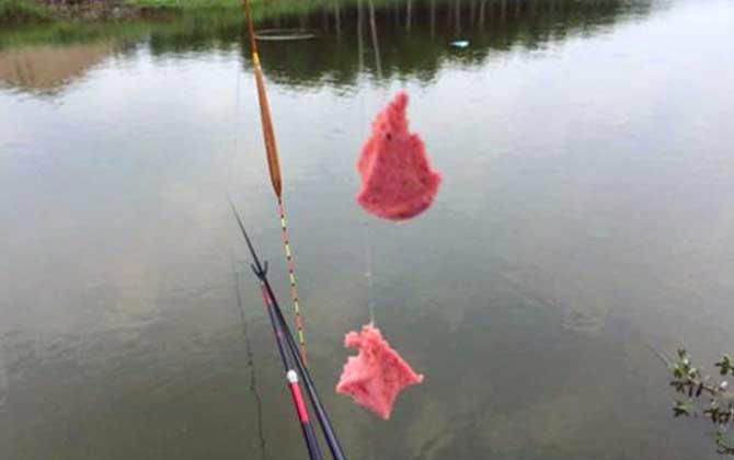 新手钓鱼入门必知的3个关键技巧，轻松上手！