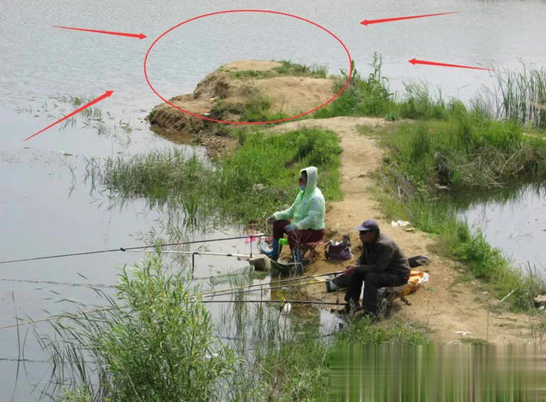 新手钓鱼入门必知的3个关键技巧，轻松上手！