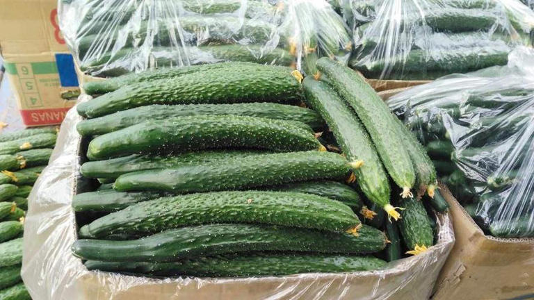 今天才知道激素黄瓜长这样，看完涨知识别买错！