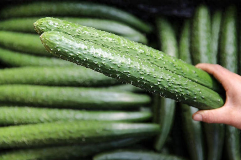 今天才知道激素黄瓜长这样，看完涨知识别买错！ 