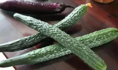 今天才知道激素黄瓜长这样，看完涨知识别买错！