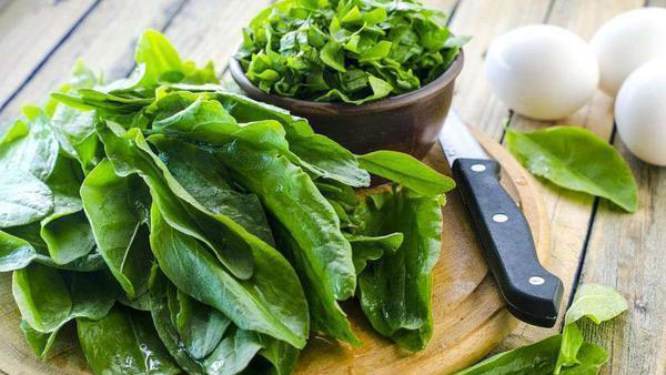 老人容易出现骨质疏松，不妨多吃这6种食物，或能强健骨骼