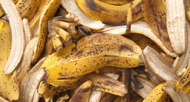 香蕉皮怎么做养花肥料？香蕉皮用来种菜养花，好处竟然这么多