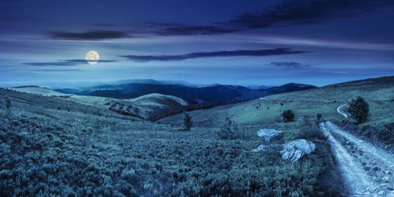 爱在细节中：女人动情的这些小动作，你注意到了吗？