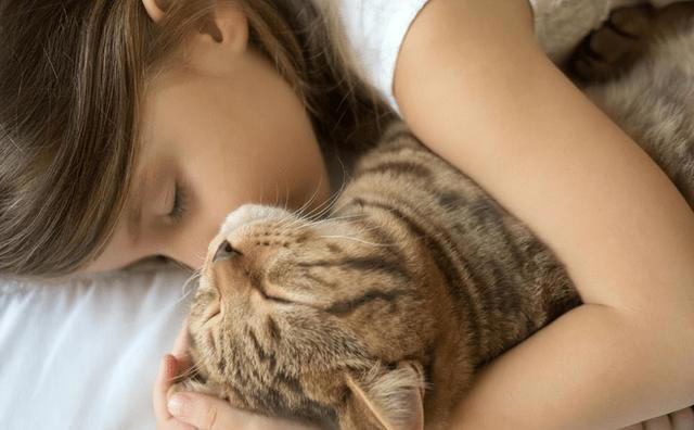 如何看出一只猫的性格？看它爱睡哪里就知道，挺准的！