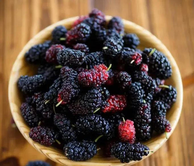 桑葚有6大功效作用，但这几类人要注意其食用禁忌