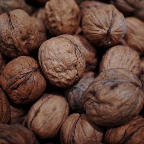 研究发现：核桃是血管的“推土机”，每天这个量，有助血管健康