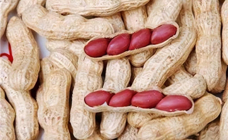 瓜子和花生，到底吃哪个有利于减肥？吃错“胖成球”，早点搞清楚