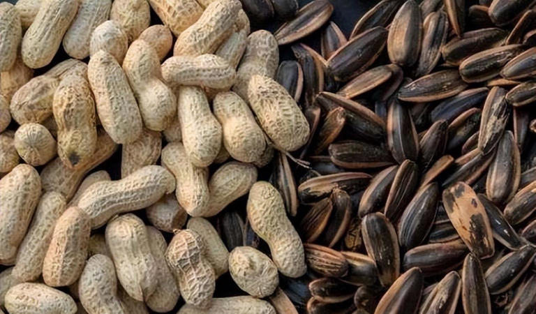 瓜子和花生，到底吃哪个有利于减肥？吃错“胖成球”，早点搞清楚