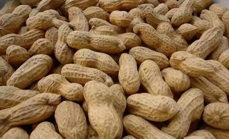 瓜子和花生，到底吃哪个有利于减肥？吃错“胖成球”，早点搞清楚