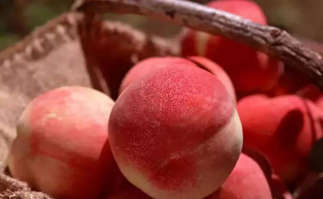 “这也不能吃，那也不能吃？”嘴馋的糖尿病人，这几种水果放心吃