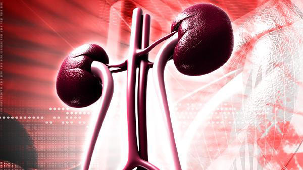  人肾脏好不好，看头发就知？医生：肾不好的人，头发多有4不同 