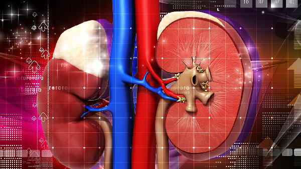 人肾脏好不好，看头发就知？医生：肾不好的人，头发多有4不同