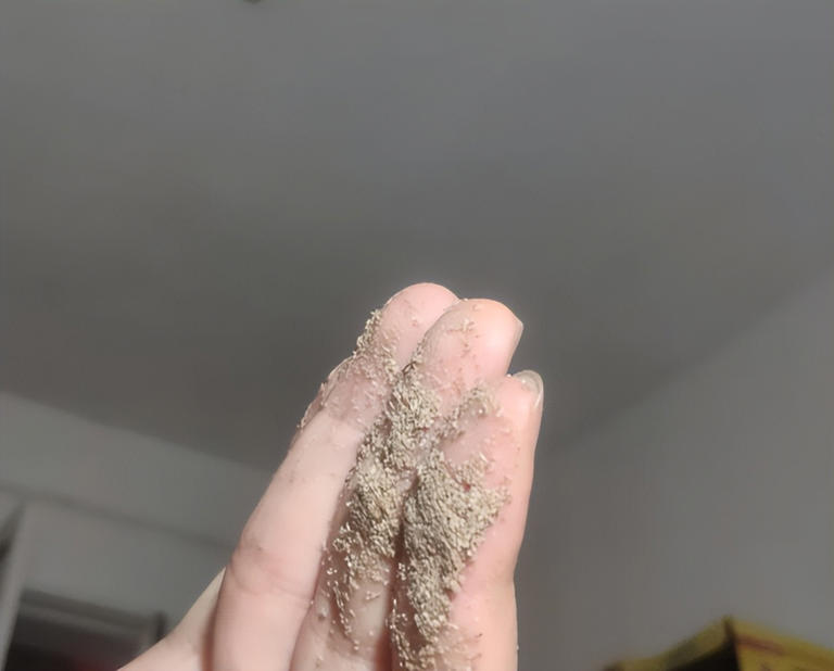 床单多久洗一次？超这个时间睡觉不舒服！