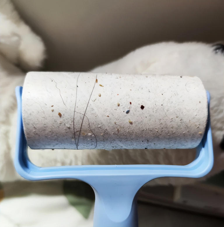 床单多久洗一次？超这个时间睡觉不舒服！