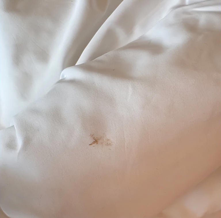 床单多久洗一次？超这个时间睡觉不舒服！