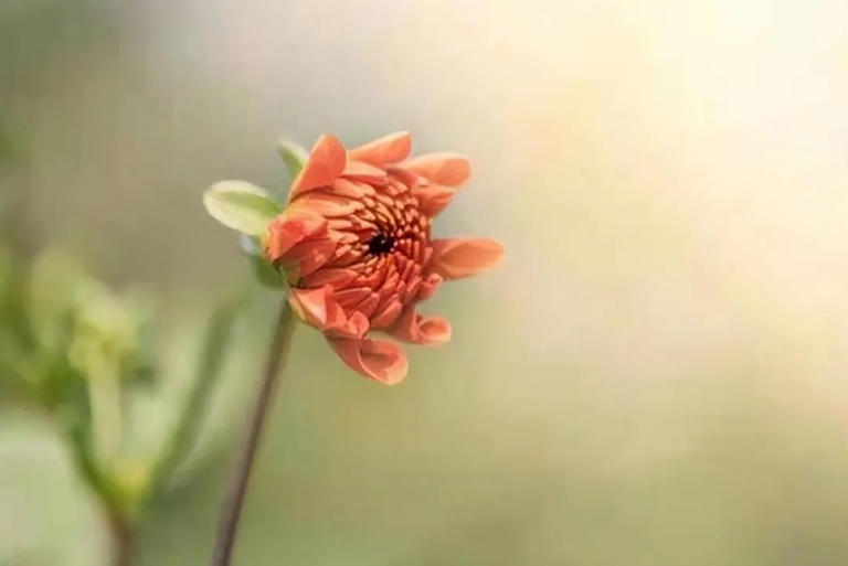 一个人，能够在这3件事上保持低调，说明相当厉害