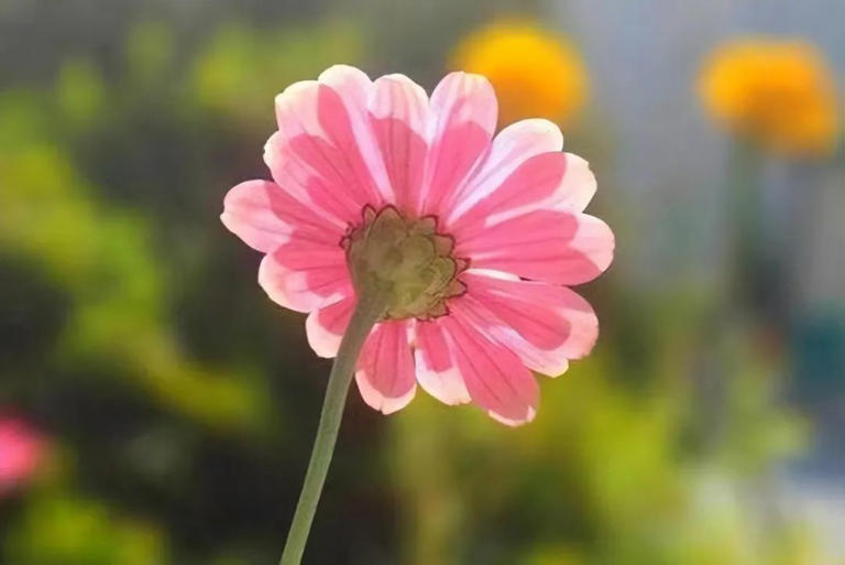 一个人，能够在这3件事上保持低调，说明相当厉害