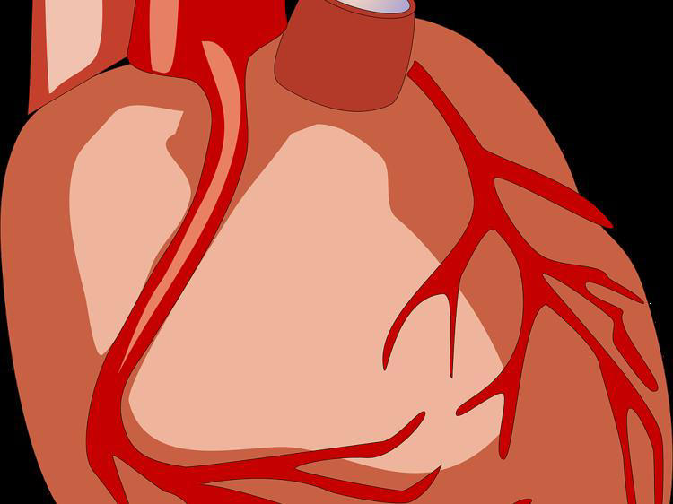 猝死前6个信号 提前识别能救命