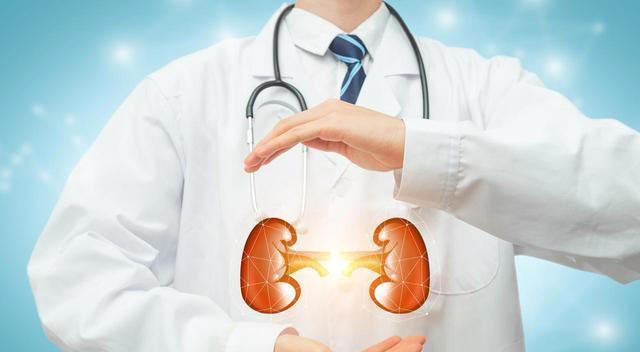 肾脏决定寿命，肾内科医生：别太节约，这6种食物可以常吃