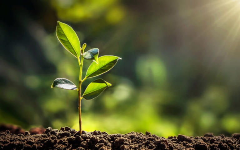 真的想问：土壤怎么就能提供给人类那么多资源呢？