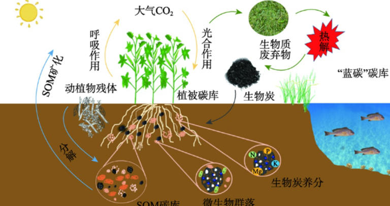 真的想问：土壤怎么就能提供给人类那么多资源呢？