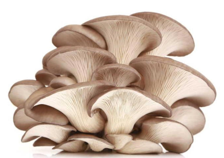 真的想问：土壤怎么就能提供给人类那么多资源呢？