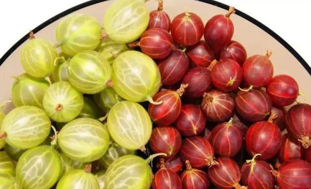 草莓、蓝莓、树莓……这些“莓”果，都是一家吗？