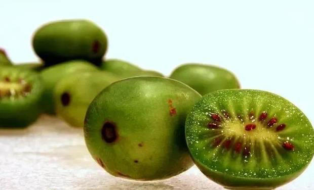 草莓、蓝莓、树莓……这些“莓”果，都是一家吗？