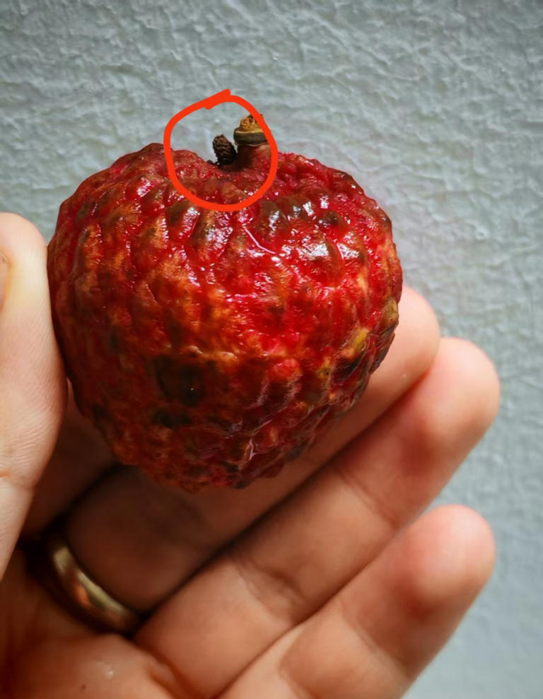 90% 的人都不知道的水果去皮方法！只需找准这些隐藏开关