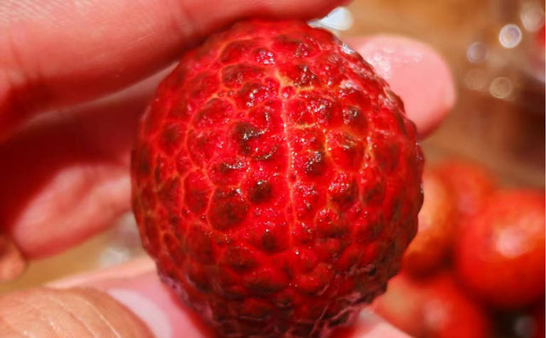 90% 的人都不知道的水果去皮方法！只需找准这些隐藏开关