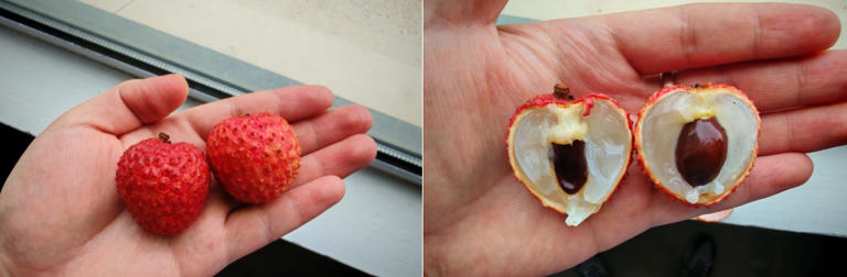 90% 的人都不知道的水果去皮方法！只需找准这些隐藏开关