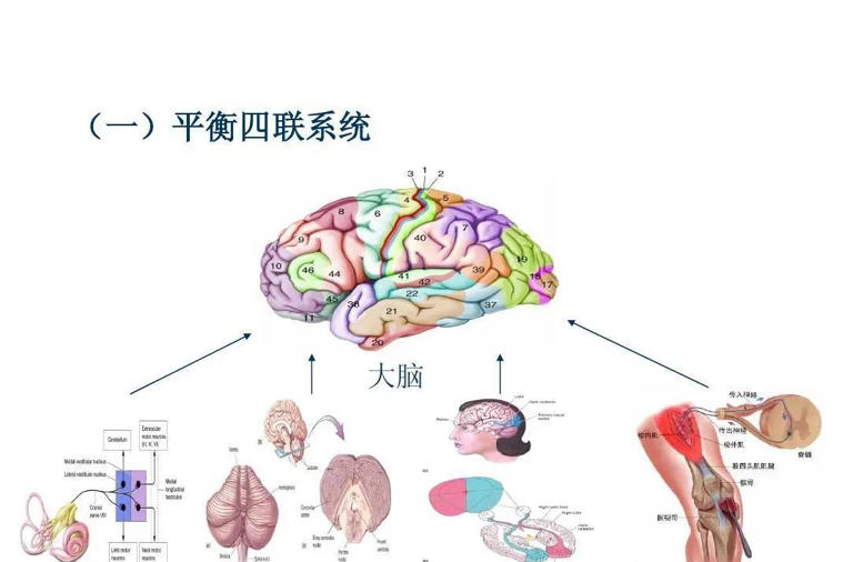 深度科普：地球自转速度非常快，为何我们感觉不到？