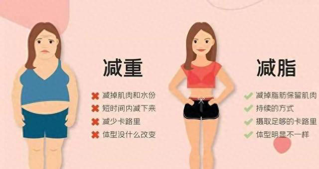 减脂≠减重，如何减掉更多的脂肪，并尽可能地留住肌肉？