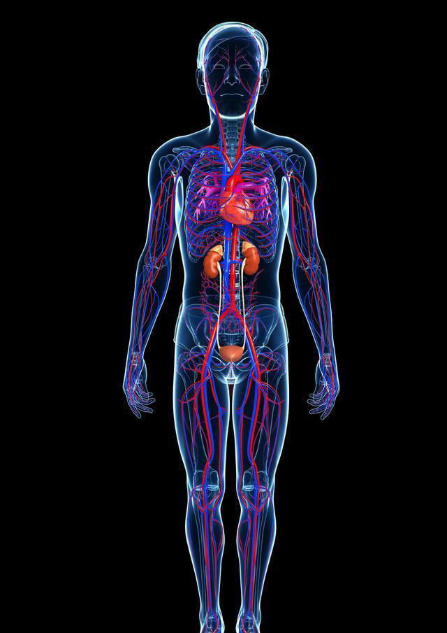 穿袜子睡觉和不穿袜子睡觉，哪个睡得更香？医生给出研究分析
