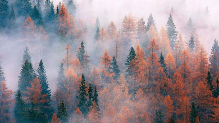 六幅思维逻辑图，决定你的人生层次