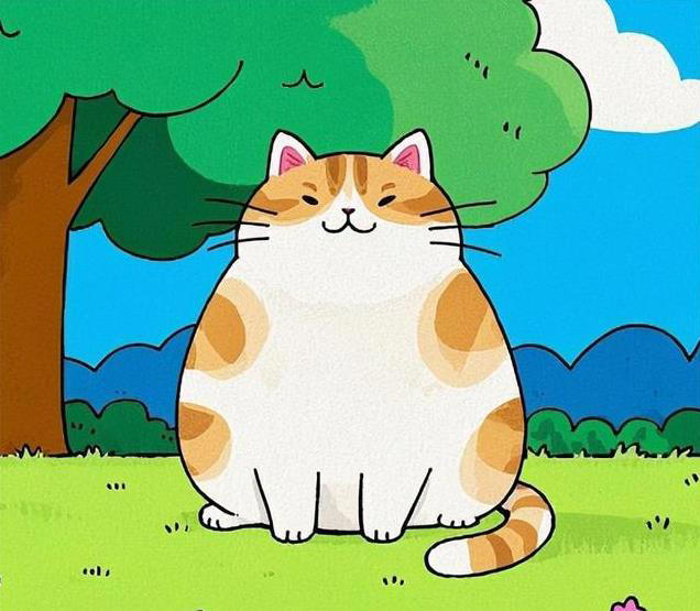 猫咪“食欲不振”的四大真相，铲屎官必知！