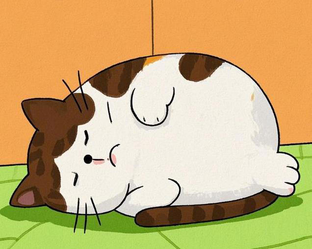 猫咪“食欲不振”的四大真相，铲屎官必知！