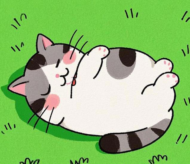 猫咪“食欲不振”的四大真相，铲屎官必知！