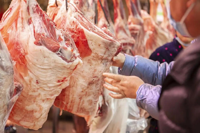 同样是羊肉，山羊和绵羊哪个肉好？两者区别很大，别再盲目购买了