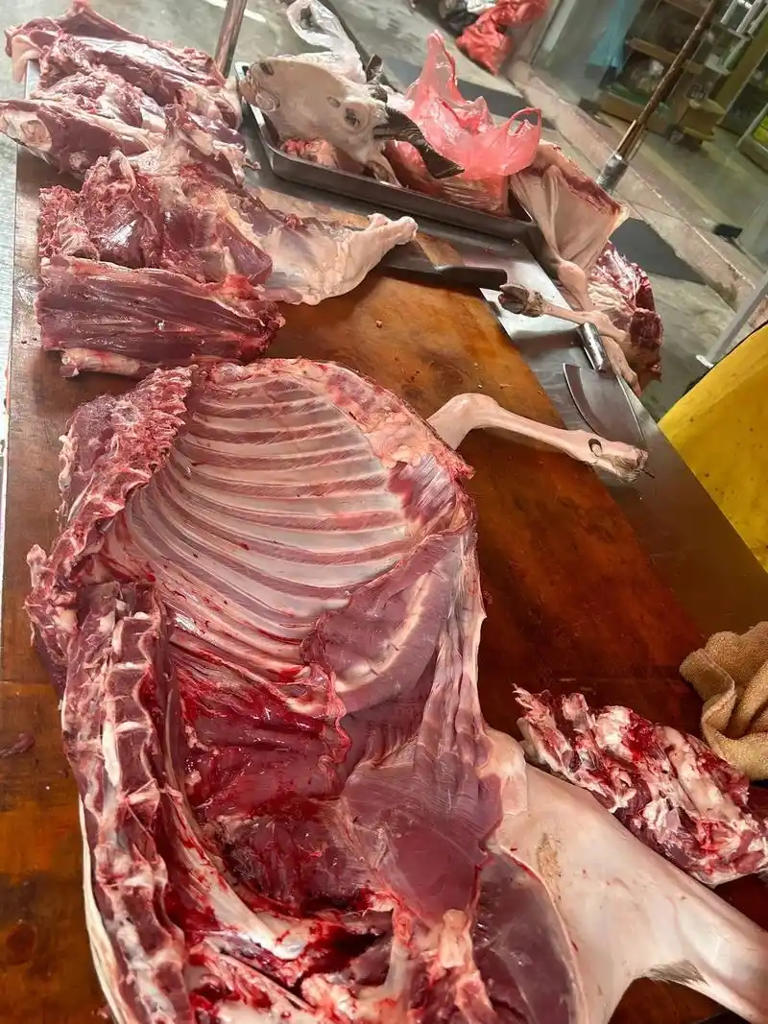 同样是羊肉，山羊和绵羊哪个肉好？两者区别很大，别再盲目购买了