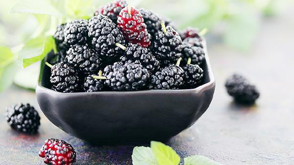 老年人若每天吃点桑葚，用不了多久，这些好处或不请自来