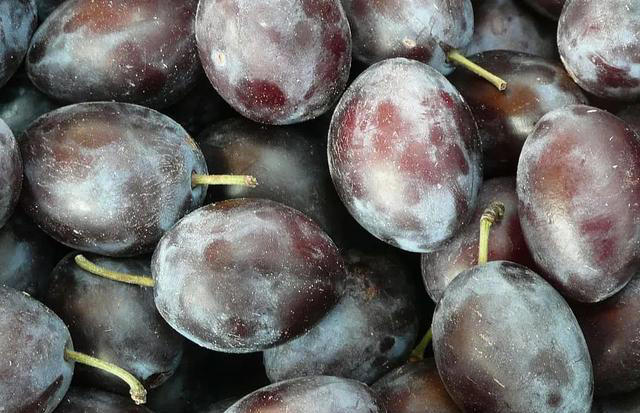 每天吃点西梅，身体会发生什么变化？