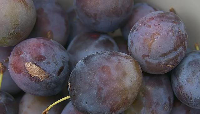 每天吃点西梅，身体会发生什么变化？